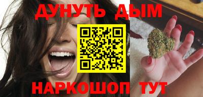 индика Лесосибирск