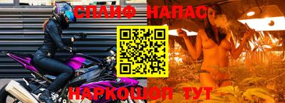 индика Лесосибирск