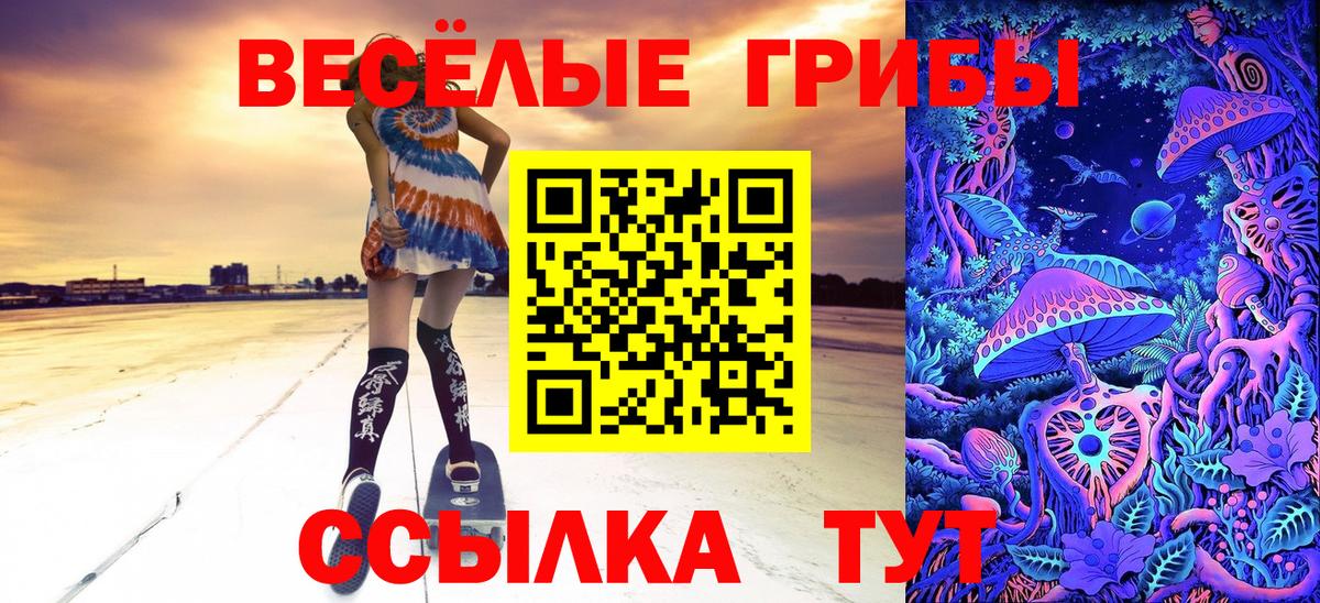 Галлюциногенные грибы Cubensis Домодедово